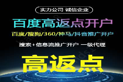 成功sem公司的策略与执行